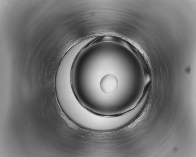 X0000099500897200805221358