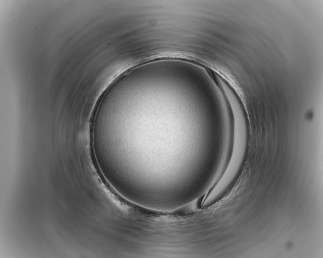 X0000099500898200805221358