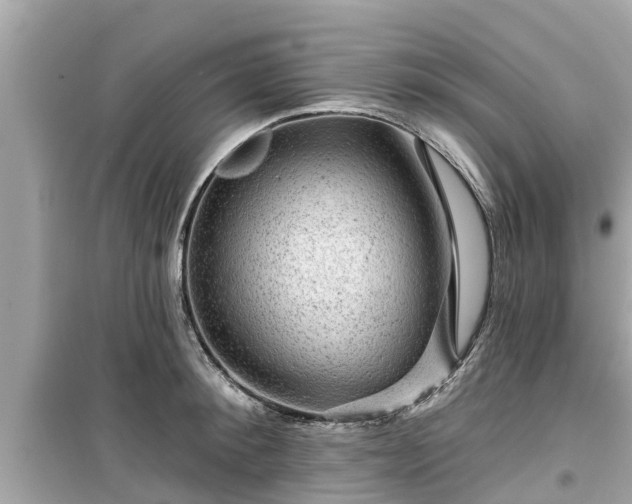X0000099500900200805221358