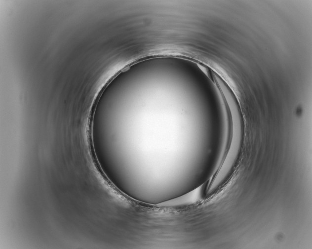 X0000099500901200805221358