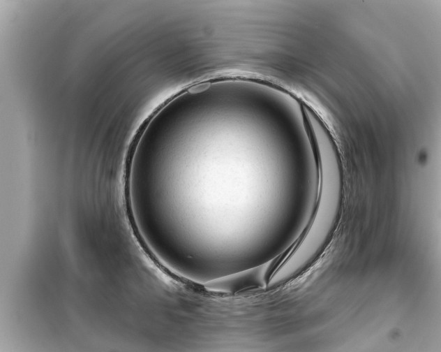 X0000099500902200805221358