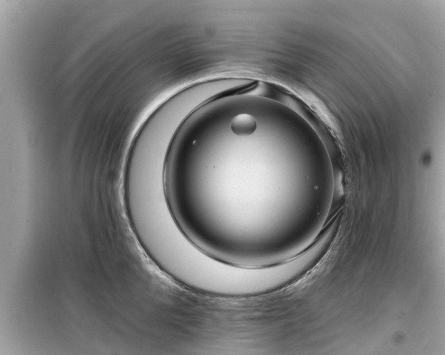 X0000099500904200805221358