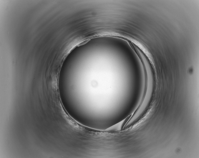 X0000099500905200805221358