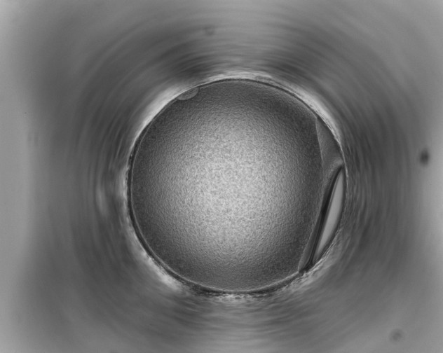 X0000099500906200805221358