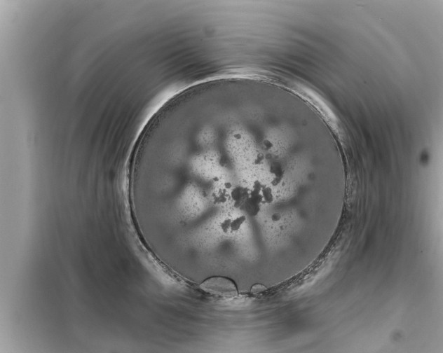 X0000099500907200805221358