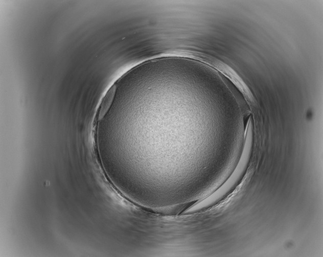 X0000099500908200805221358