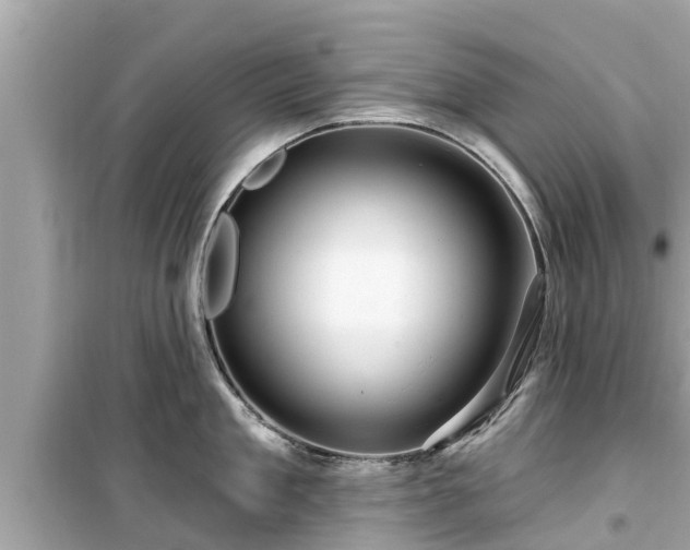 X0000099500909200805221358
