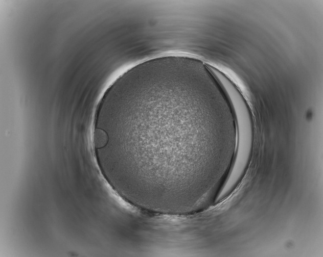 X0000099500910200805221358
