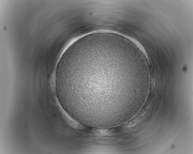 X0000099500911200805221358