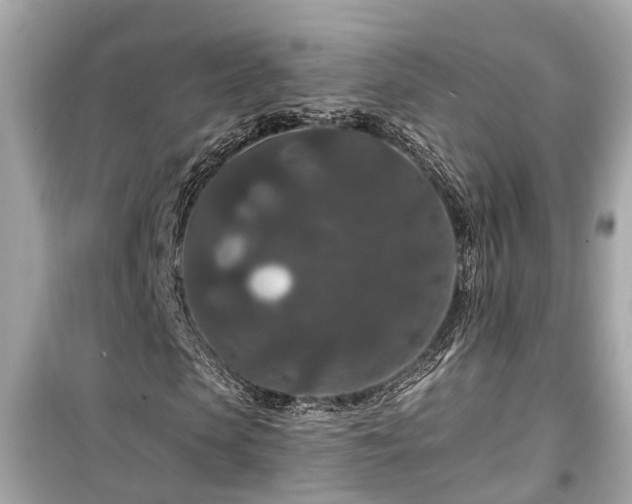 X0000099500913200805221357