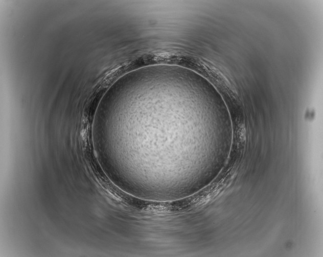 X0000099500914200805221357