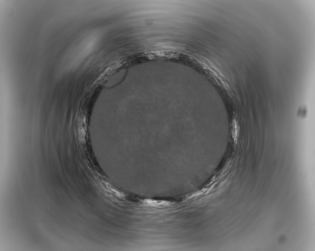 X0000099500915200805221357