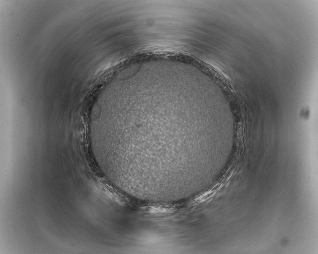 X0000099500917200805221357