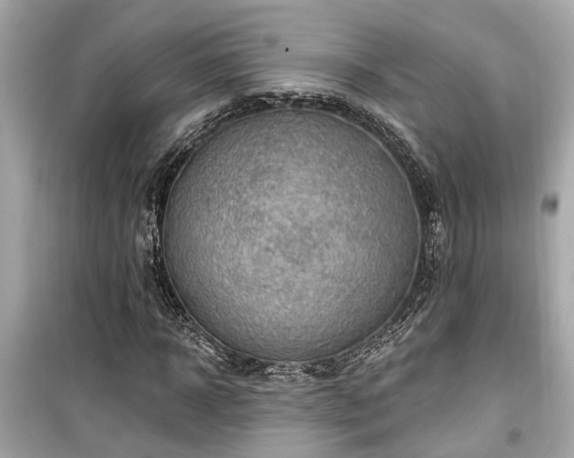 X0000099500918200805221357