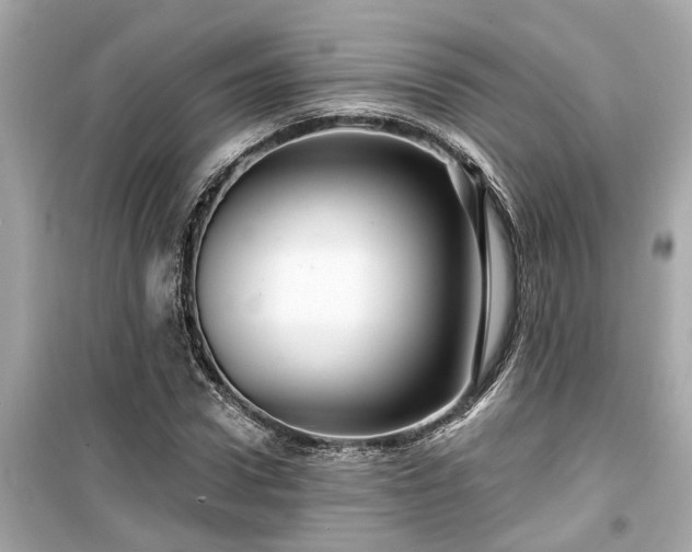 X0000099500922200805221357