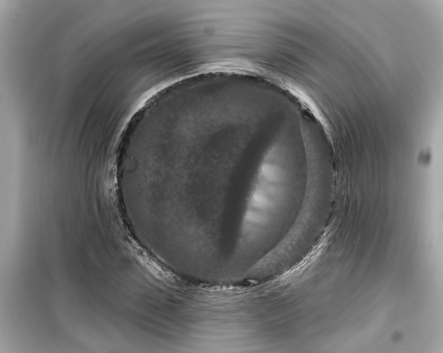 X0000099500923200805221357