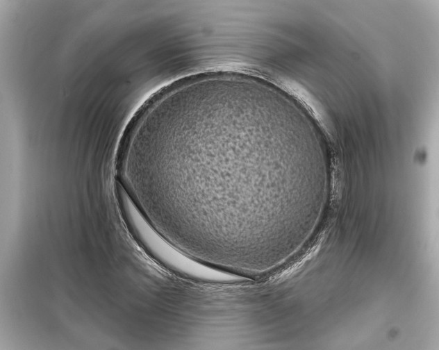 X0000099500924200805221357
