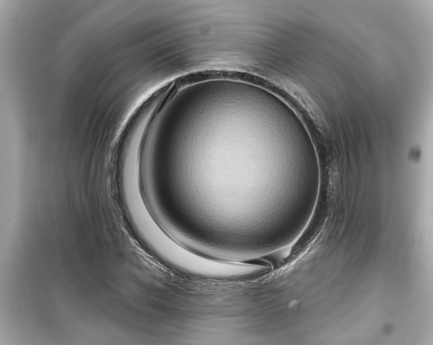 X0000099500926200805221357
