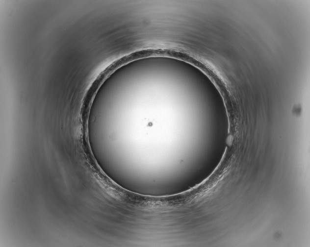 X0000099500927200805221357