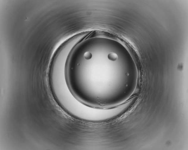 X0000099500928200805221357