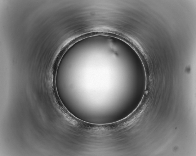 X0000099500931200805221357