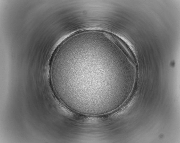 X0000099500933200805221357