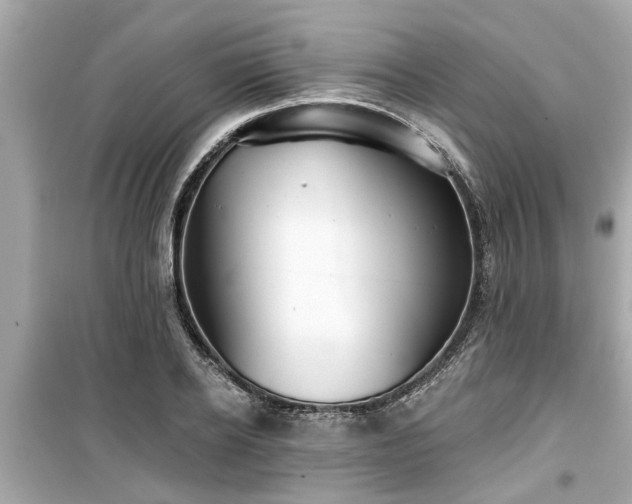 X0000099500934200805221357