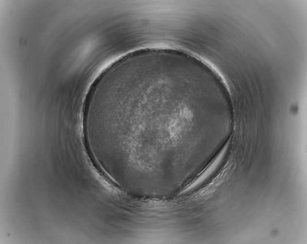 X0000099500935200805221357
