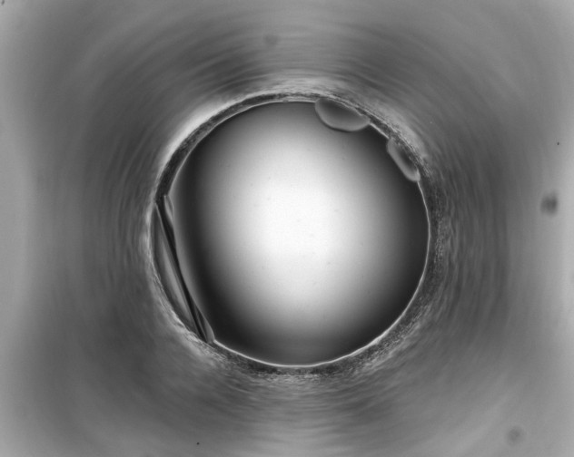 X0000099500936200805221358