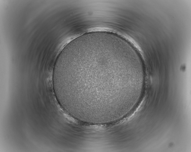 X0000099500937200805221358