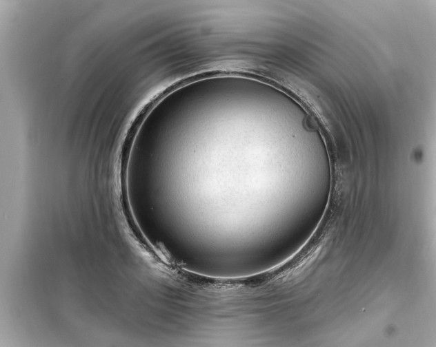 X0000099500939200805221358