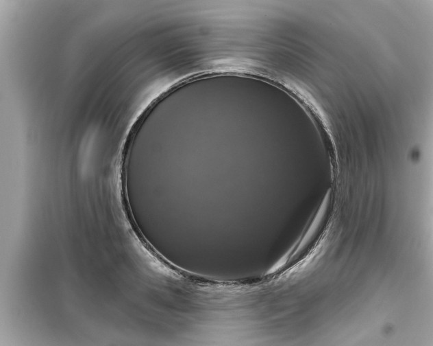 X0000099500941200805221358