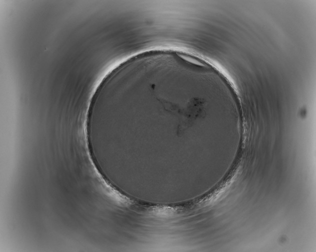 X0000099500943200805221358