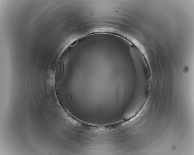 X0000099500945200805221358