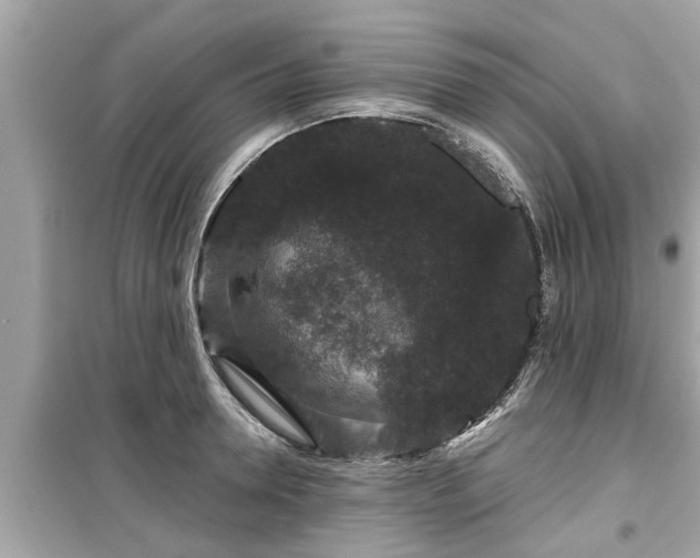 X0000099500946200805221358
