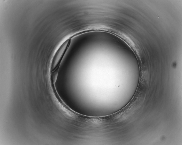 X0000099500947200805221358