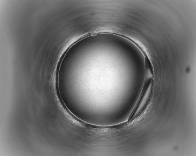 X0000099500949200805221358