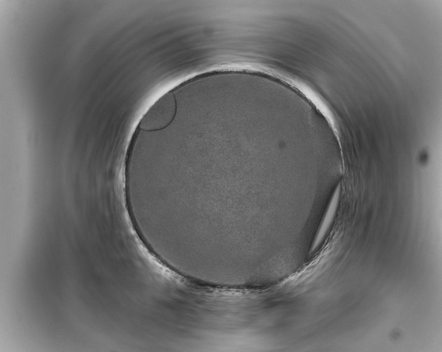 X0000099500951200805221358