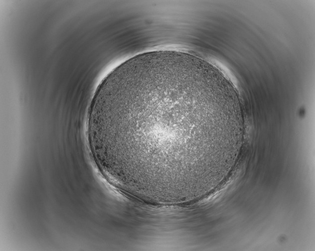 X0000099500952200805221358