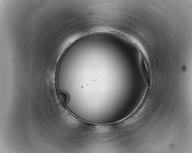 X0000099500954200805221358