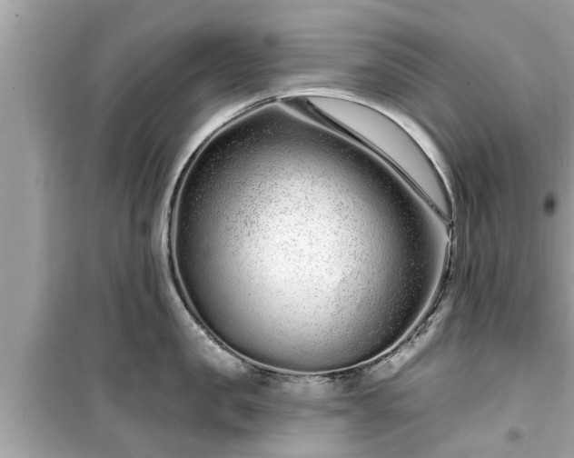 X0000099500957200805221358