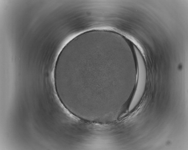 X0000099500959200805221358
