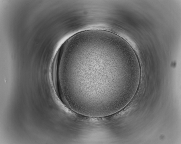 X0000099500960200805221358