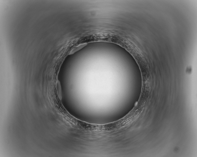 X0000099500961200805221357