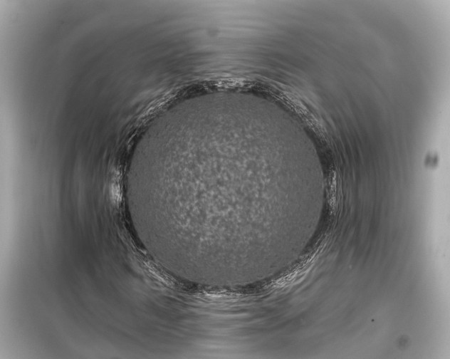 X0000099500962200805221357