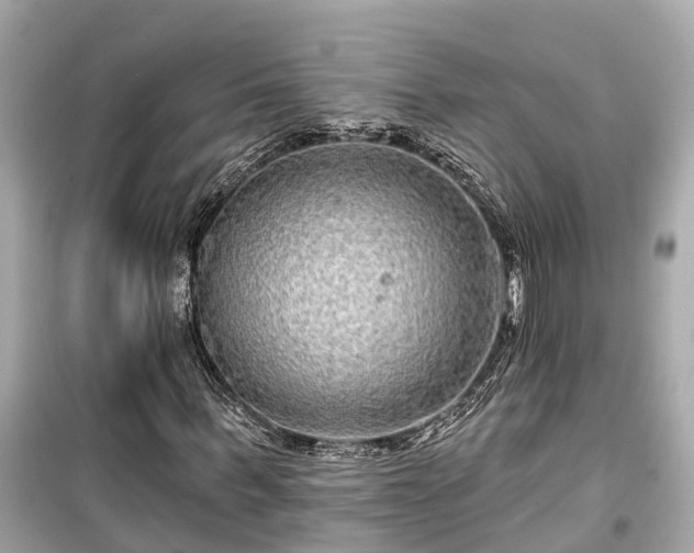 X0000099500963200805221357