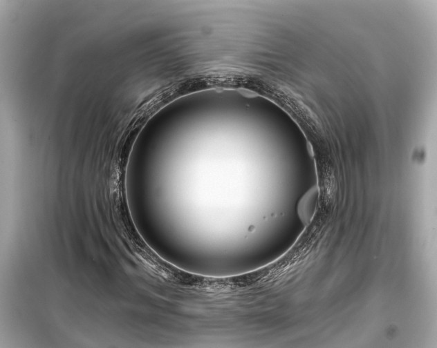 X0000099500964200805221357