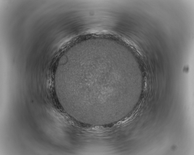 X0000099500966200805221357