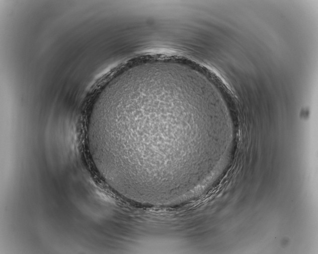 X0000099500967200805221357