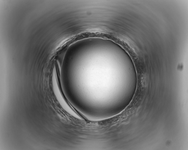 X0000099500968200805221357